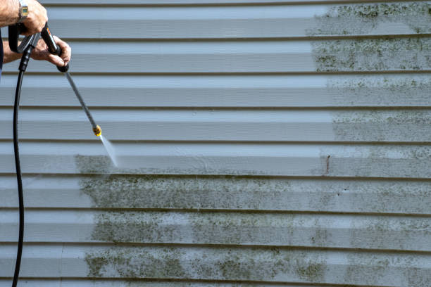 Best Engineered Wood Siding  in Taft Heights, CA